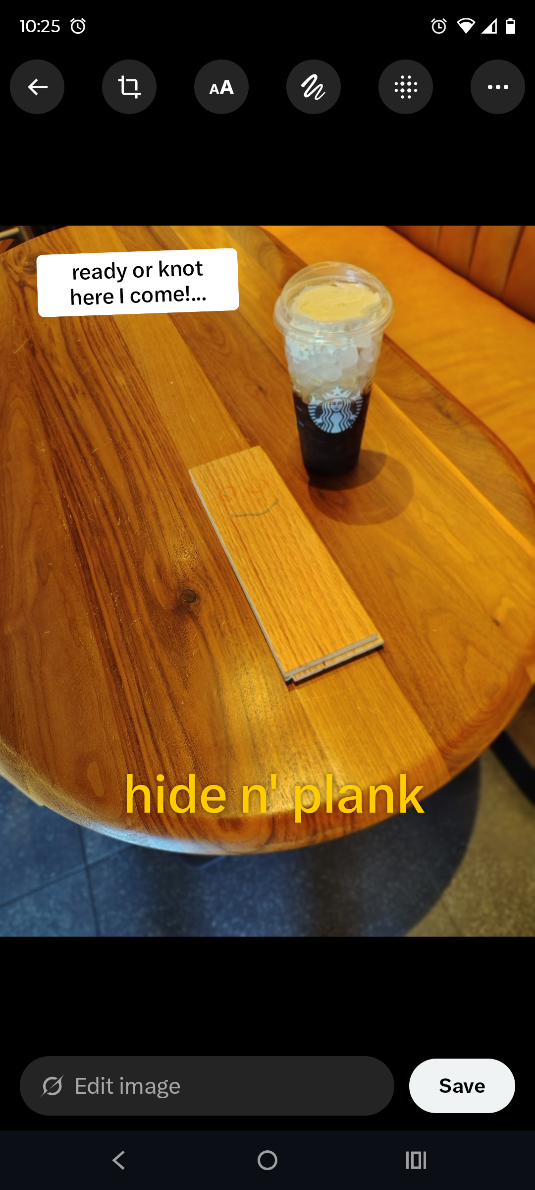 hide n' plank