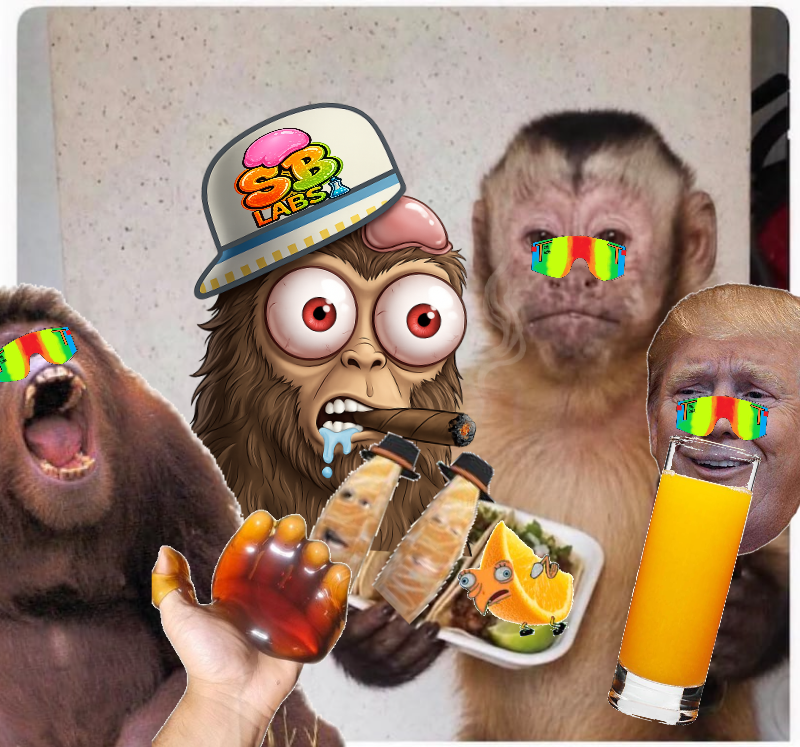 Monkey Biddnez