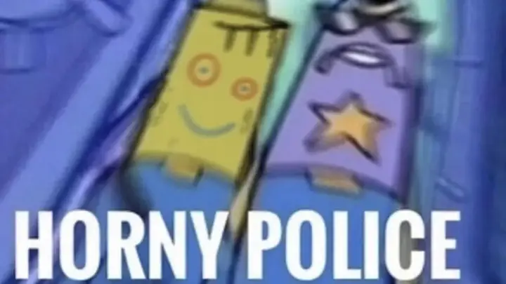 HORNY POLICE