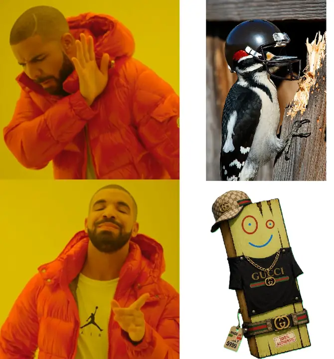 Drake Hotline