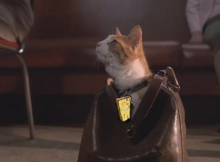 MIB Orion’s Collar